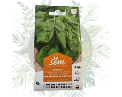 Epinard monstrueux de Viroflay - Cultivez des épinards généreux et savoureux