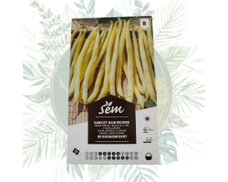 Haricot nain beurre de Rocquencourt - Variété ancienne pour votre jardin