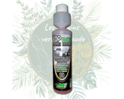 Top Clean - Stabilisant essence pour moteurs de motoculture
