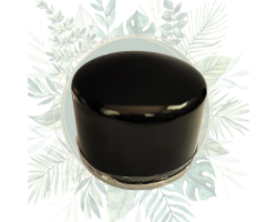 Filtre à huile court Briggs & Stratton - Performance et protection