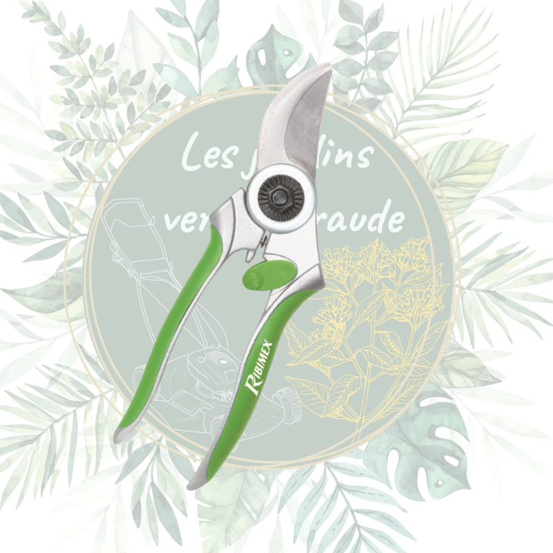 Sécateur courbé en acier inoxydable - Jardinage de qualité