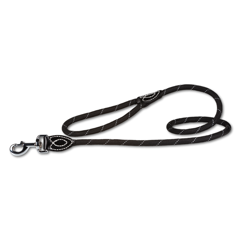 Ensemble laisse + collier ROUNDROPE BLACKREFLECT 10 pour chien