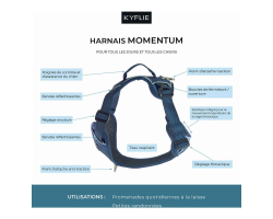 Harnais Momentum KYFLIE - Harnais multifonction pour chiens