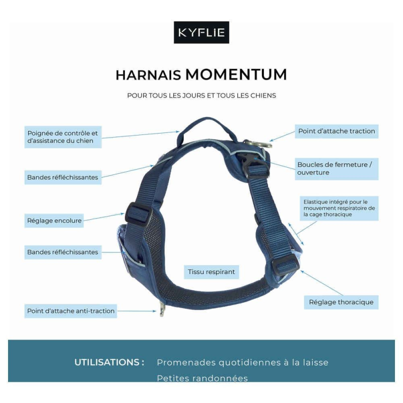 Harnais Momentum KYFLIE - Harnais multifonction pour chiens