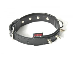 Collier clouté en cuir pour chien - Look rockeur et sécurité renforcée