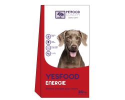 Croquettes Energie YESFOOD - Aliment haut de gamme pour chiens actifs