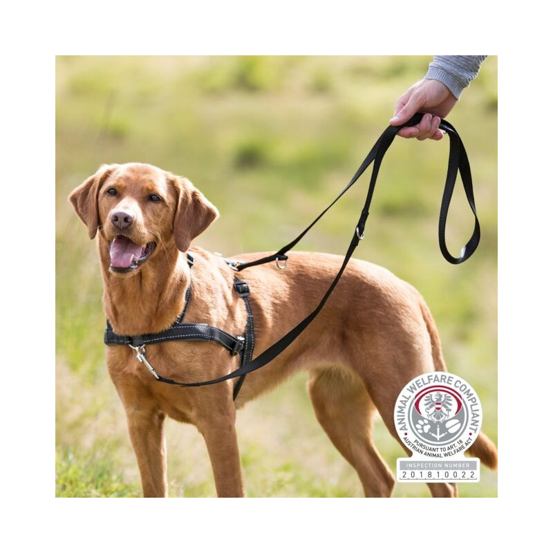 Harnais d'éducation TRIXIE Lead'N Walk Soft - Confort et Sécurité pour votre Chien