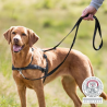 Harnais d'éducation TRIXIE Lead'N Walk Soft - Confort et Sécurité pour votre Chien