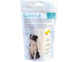 Kit Capt’Ur Canin - Collecteur d'urine pour chien