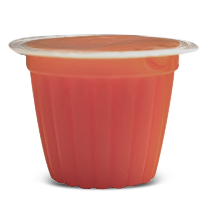 Jelly Pots myrtilles - Nourriture en gelée pour reptiles et insectes
