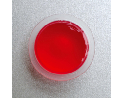 Jelly Pots Fraise - Friandise pour reptiles et insectes frugivores