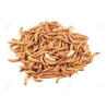 Vers de farine Tenebrio molitor - Alimentation nutritive