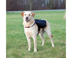 Harnais sac à dos pour chiens - Confort et praticité