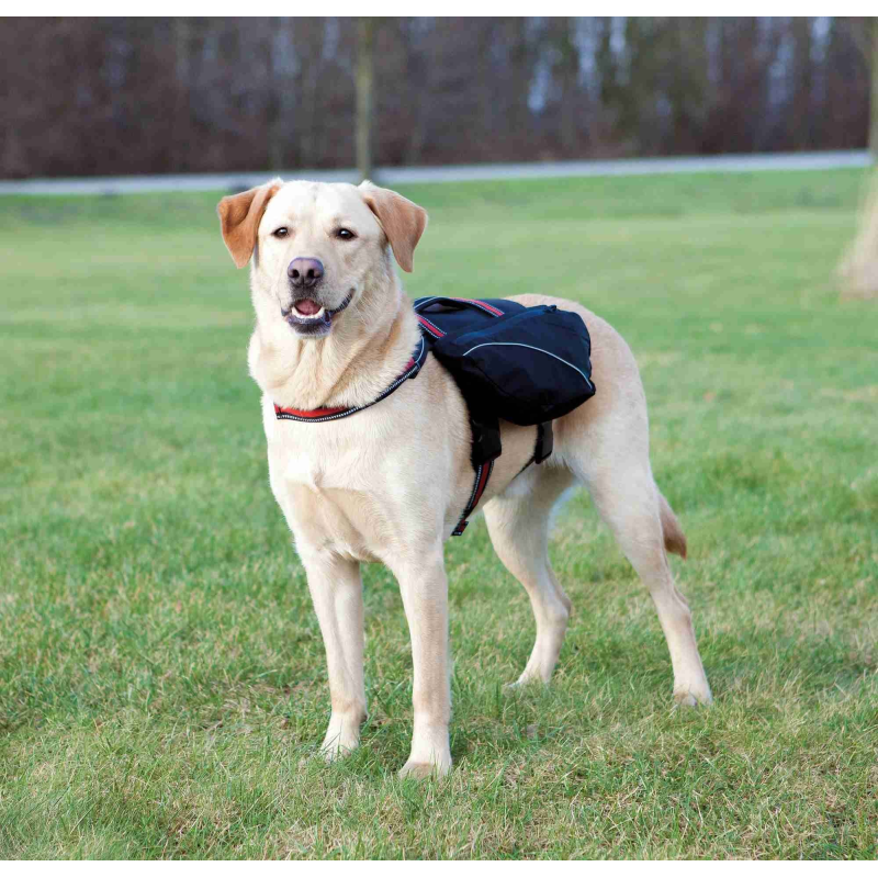 Harnais sac à dos pour chiens - Confort et praticité