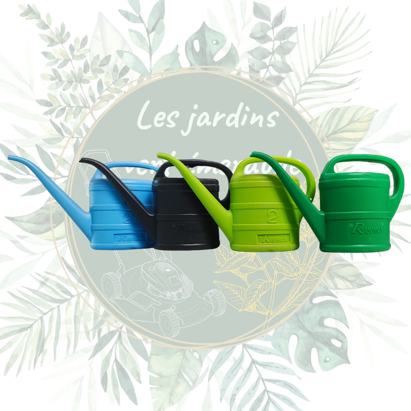 Arrosoir 2L - Compact et Ergonomique pour Vos Plantes