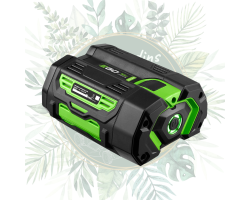 Achetez la batterie EGO 5,0Ah - BA2800T | Outils de jardin puissants