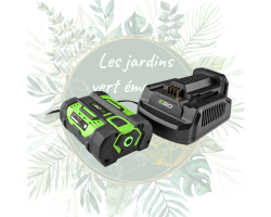 Chargeur standard EGO - CH2100E pour batteries EGO | Jardin