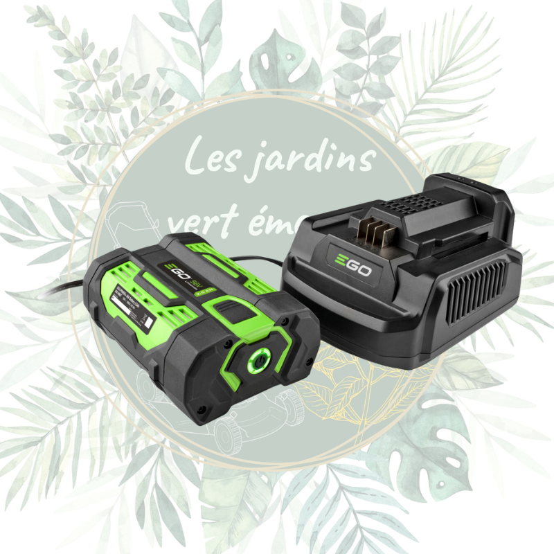 Chargeur standard EGO - CH2100E pour batteries EGO | Jardin