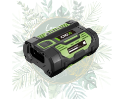 Adaptateur batterie ADB1000 - EGO Power : Performance et confort