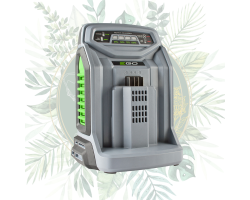 Chargeur rapide EGO - CH5500E pour une charge optimisée