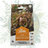 Laitue merveille des 4 saisons - Résistante et savoureuse