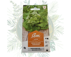 Laitue grosse blonde paresseuse - Résistante et facile à cultiver