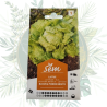 Laitue batavia pierre bénite - Jardinage de qualité