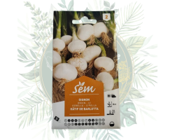 Oignons blanc hâtif de Barletta - Culture rapide et savoureuse