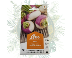 Navet rouge plat hâtif - Cultivez ce légume savoureux