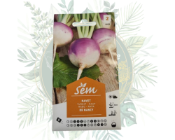Navet de Nancy - Légume rustique parfait pour votre jardin