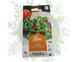 Mesclun - Mélange de Salades pour un Jardin Productif