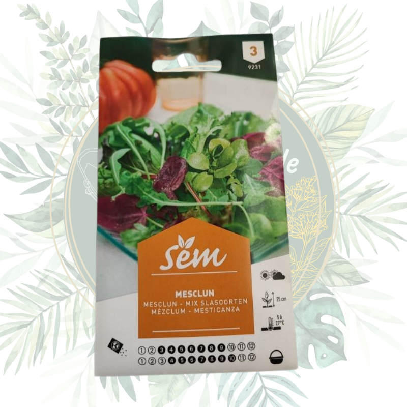 Mesclun - Mélange de Salades pour un Jardin Productif