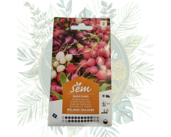 Radis rond mélange couleurs - Mélange coloré pour votre jardin