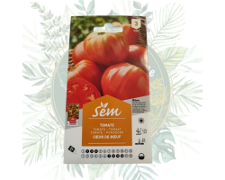 Graines de tomate cœur de bœuf - Culture facile et savoureuse