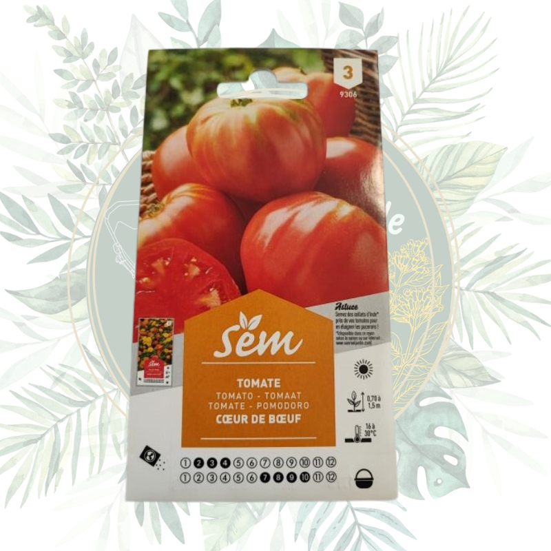 Graines de tomate cœur de bœuf - Culture facile et savoureuse