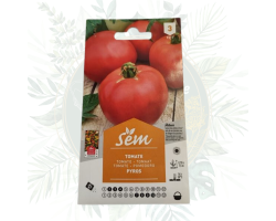 Tomate Pyros - Variété Productive et Facile à Cultiver | Jardin