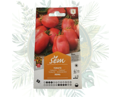 Tomate Roma - Variété productive et résistante