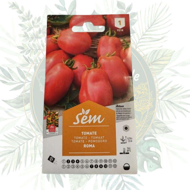 Tomate Roma - Variété productive et résistante