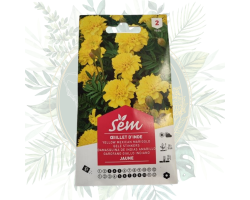 Acheter Œillet d'Inde jaune - Plante facile à cultiver | Jardin