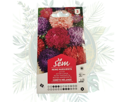 Reine Marguerite Comète Mélange - Plante colorée et florissante