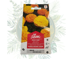 Rose d'inde double grande variété - Fleur résistante et colorée