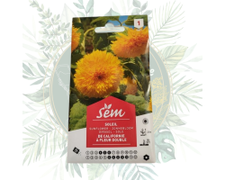 Soleil de Californie à fleur double - Plantez de la couleur dans votre jardin