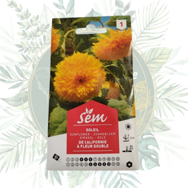 Soleil de Californie à fleur double - Plantez de la couleur dans votre jardin