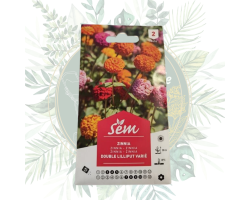 Graines Sanrival | Zinnia double lilliput varié - Jardin