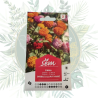 Graines Sanrival | Zinnia double lilliput varié - Jardin
