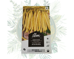 Haricot nain roi des beurres - Productivité et goût savoureux