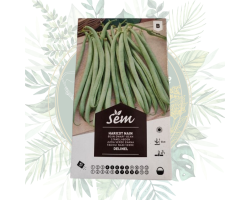 Haricot nain Delinel - Productivité et saveur pour votre jardin