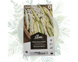 Haricot nain coco blanc précoce : variété productive pour votre jardin