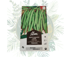 Haricot mangetout à rame phénomène - Jardinage de qualité