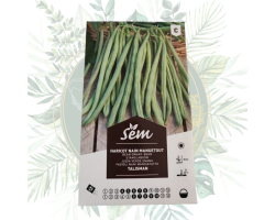 Haricot nain mangetout Talisman - Productivité et résistance